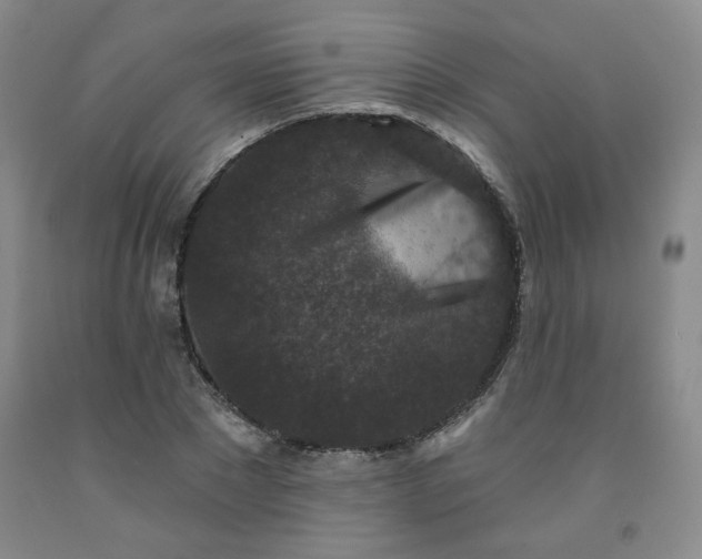 X0000091950881200709201320