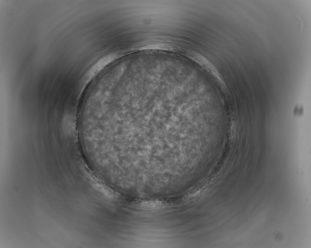 X0000091950882200709201320