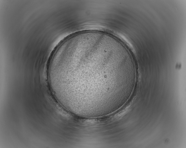 X0000091950883200709201320