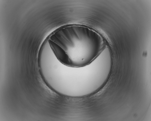 X0000091950884200709201320