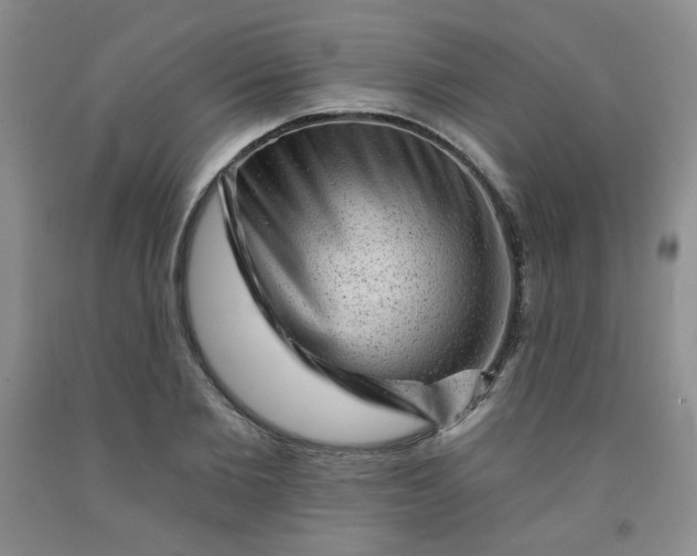 X0000091950885200709201320