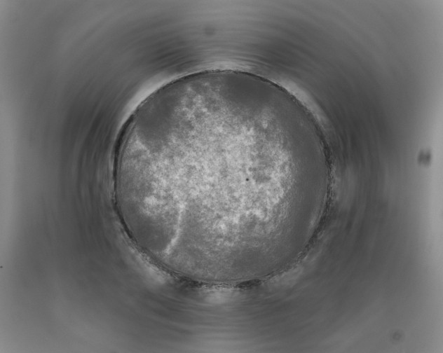 X0000091950886200709201320