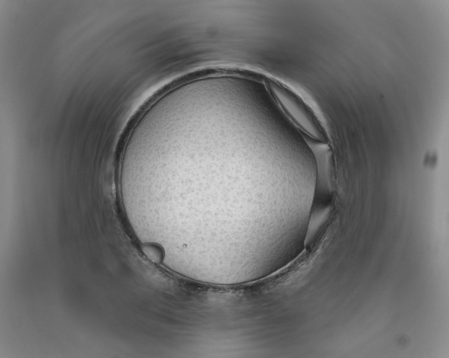 X0000091950887200709201320