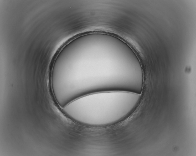 X0000091950888200709201320