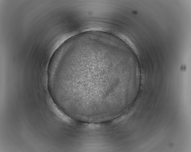 X0000091950890200709201320