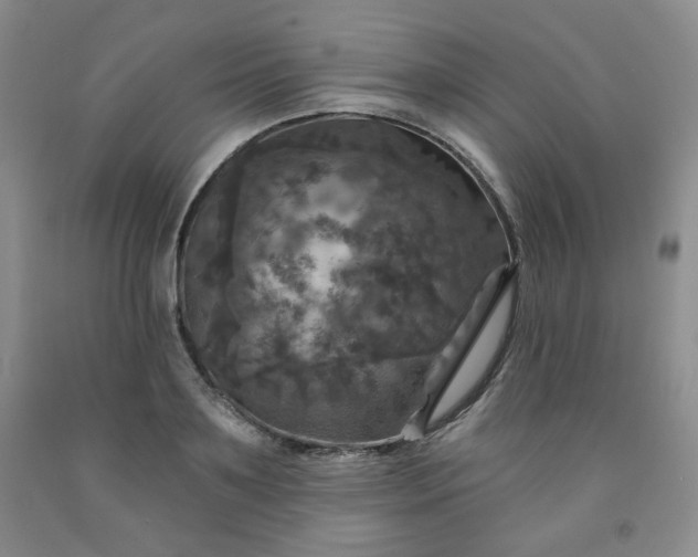 X0000091950891200709201320