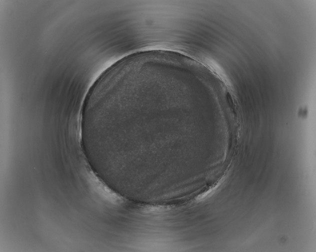 X0000091950892200709201320