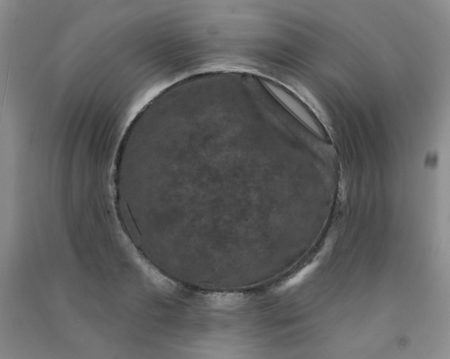 X0000091950893200709201320