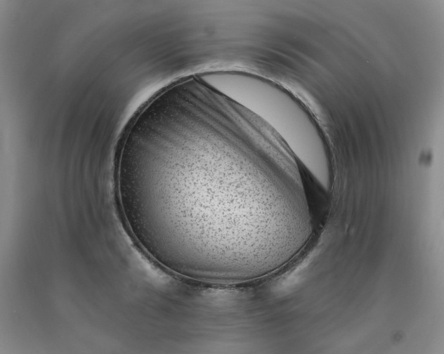 X0000091950894200709201320