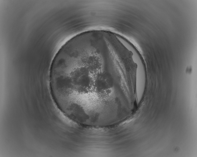 X0000091950895200709201320