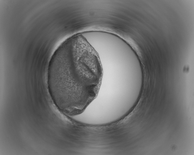 X0000091950896200709201320