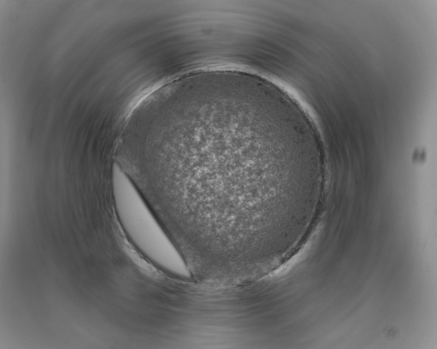 X0000091950897200709201320