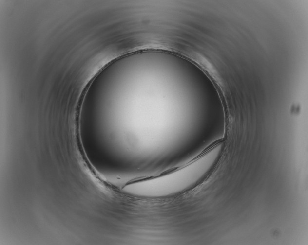 X0000091950898200709201320