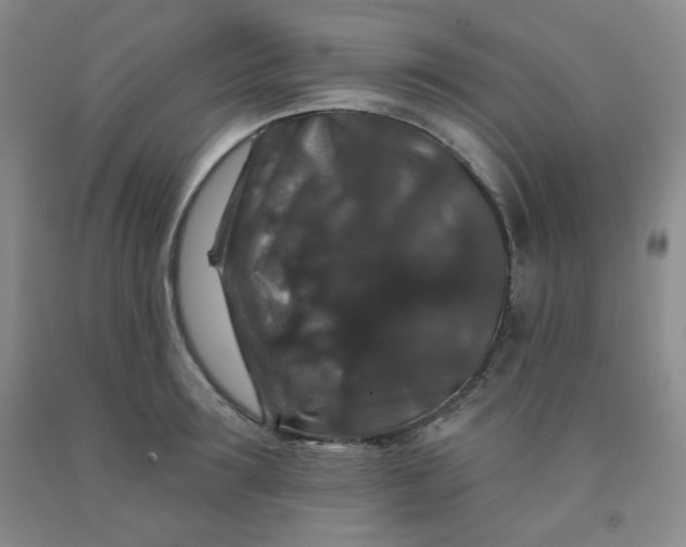 X0000091950899200709201320