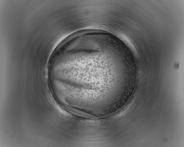 X0000091950900200709201320