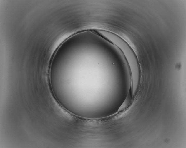 X0000091950901200709201320