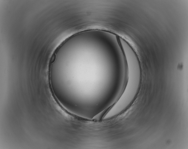 X0000091950902200709201320