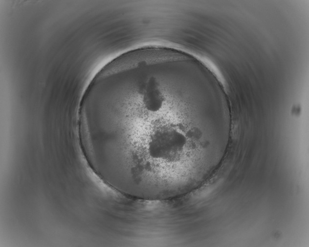 X0000091950903200709201320