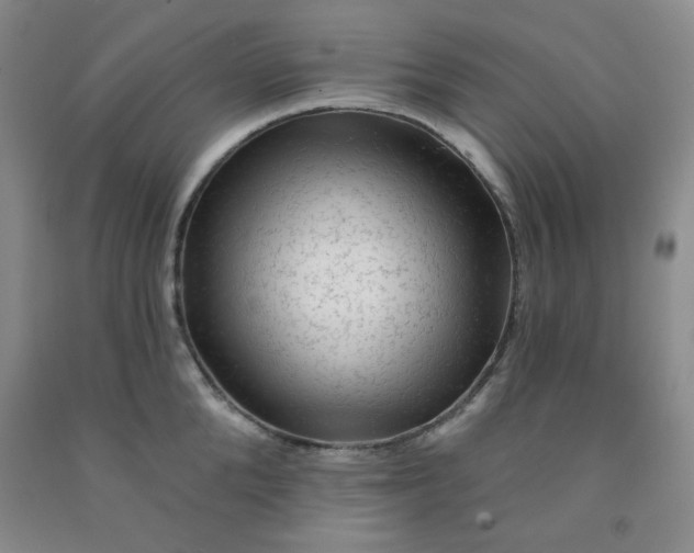 X0000091950904200709201320