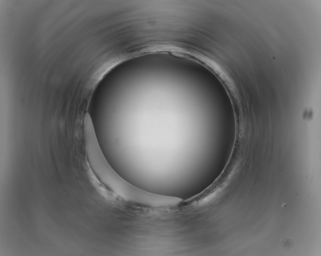 X0000091950905200709201320