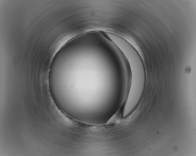 X0000091950906200709201320