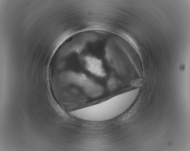 X0000091950907200709201320