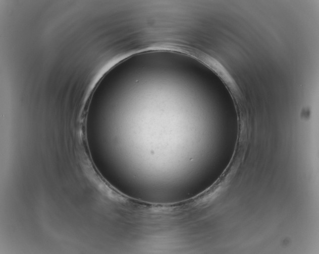 X0000091950908200709201320