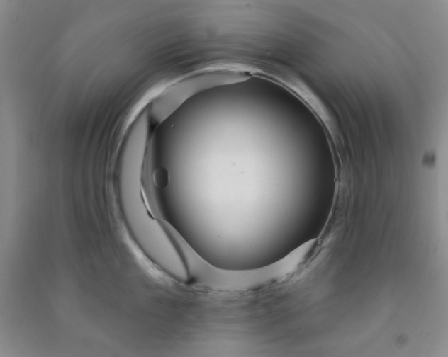 X0000091950909200709201320