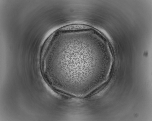 X0000091950910200709201320