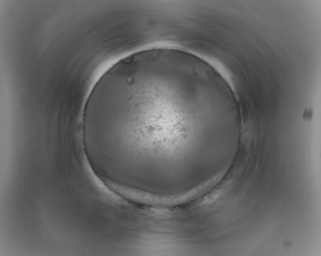 X0000091950911200709201320