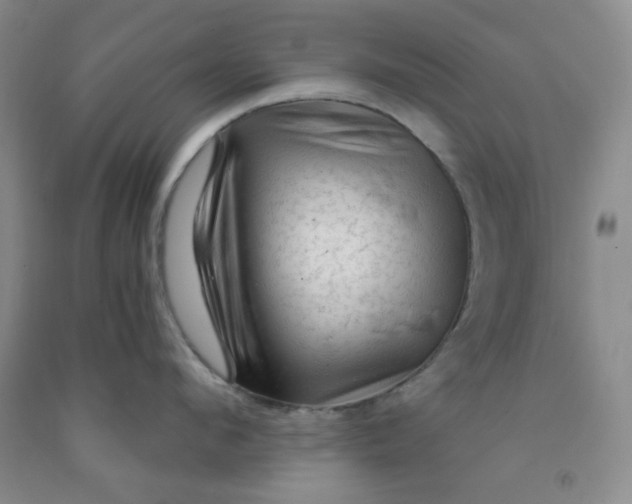 X0000091950912200709201320