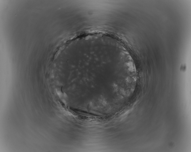 X0000091950913200709201319