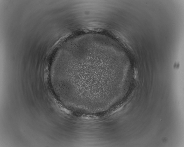 X0000091950915200709201319