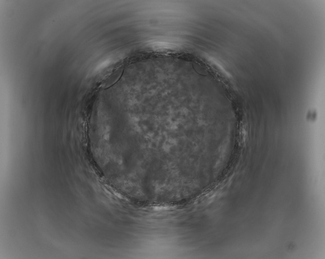 X0000091950917200709201319