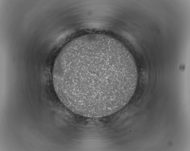 X0000091950918200709201319