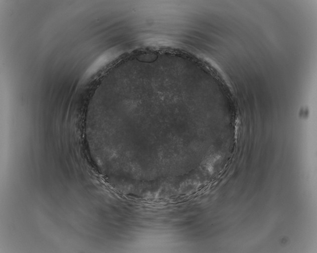 X0000091950919200709201319