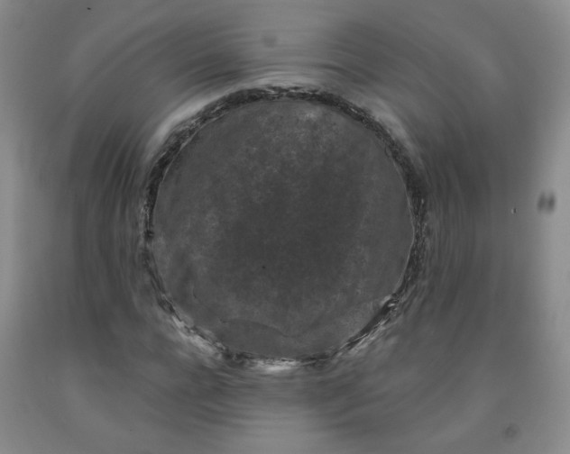 X0000091950920200709201319