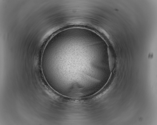 X0000091950922200709201319