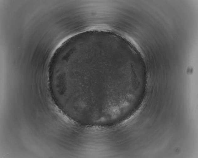 X0000091950923200709201319