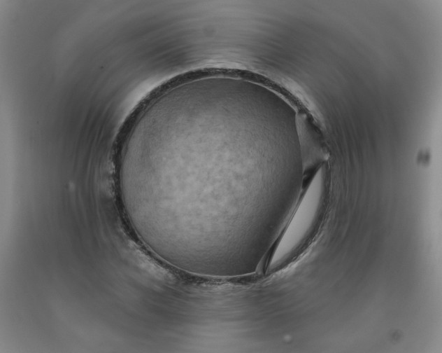 X0000091950926200709201319