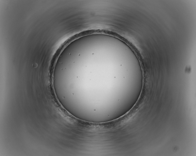 X0000091950927200709201319