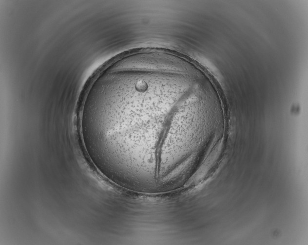 X0000091950928200709201319