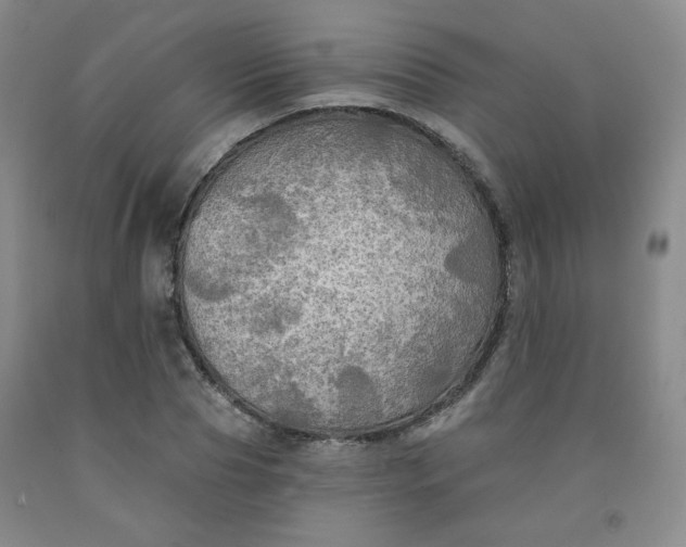 X0000091950929200709201319