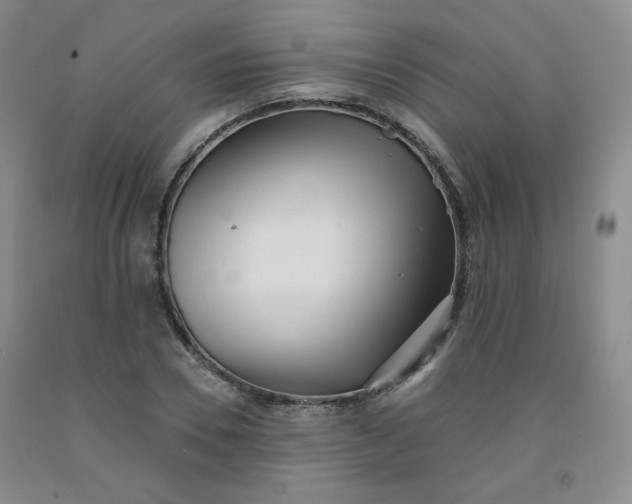 X0000091950930200709201319