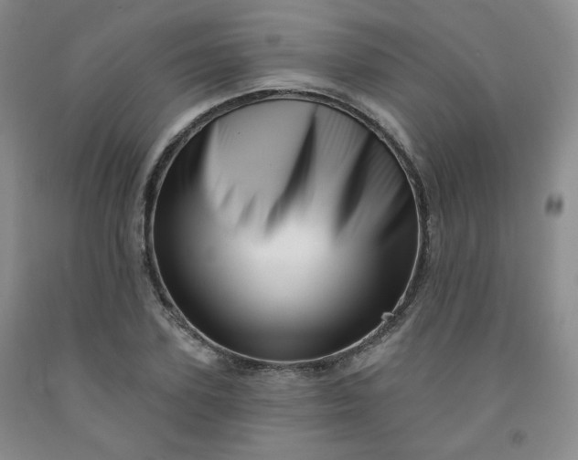 X0000091950931200709201319