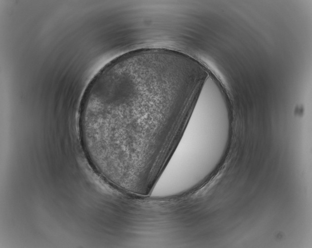 X0000091950932200709201319