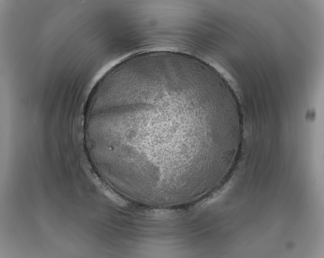 X0000091950933200709201319