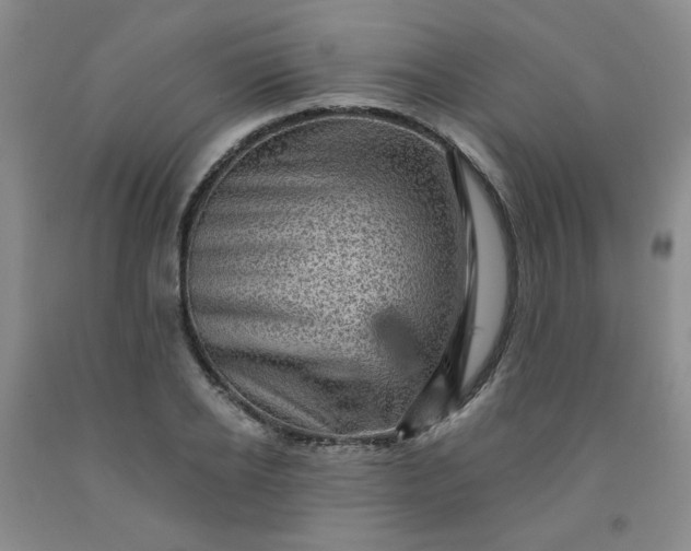 X0000091950934200709201319