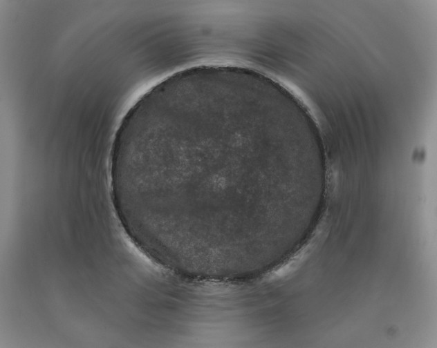 X0000091950935200709201319