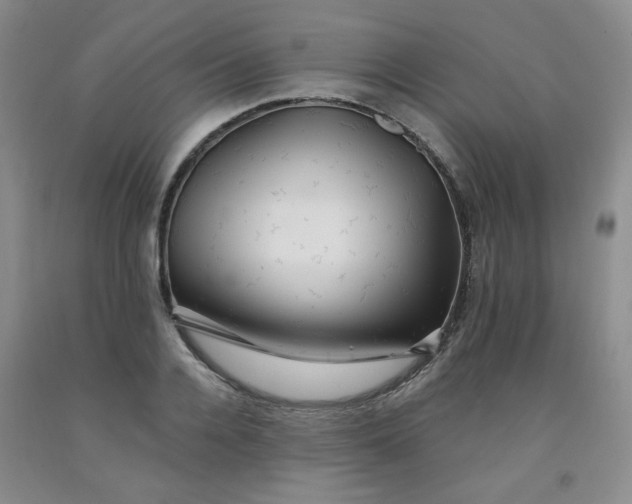 X0000091950936200709201319